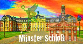 Münster Schloß