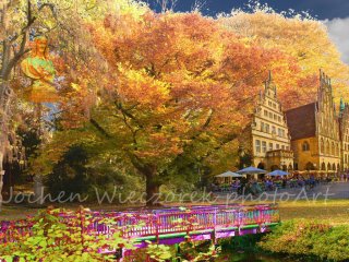 Eine Herbstimpression, im Vordergrund eine Brücke im Schloßgarten, ein Baum an der Promenade in herbstlicher Verfärbung, ein Blick auf den Prinzipalmarkt mit dem Stadtweinhaus und dem Rathaus